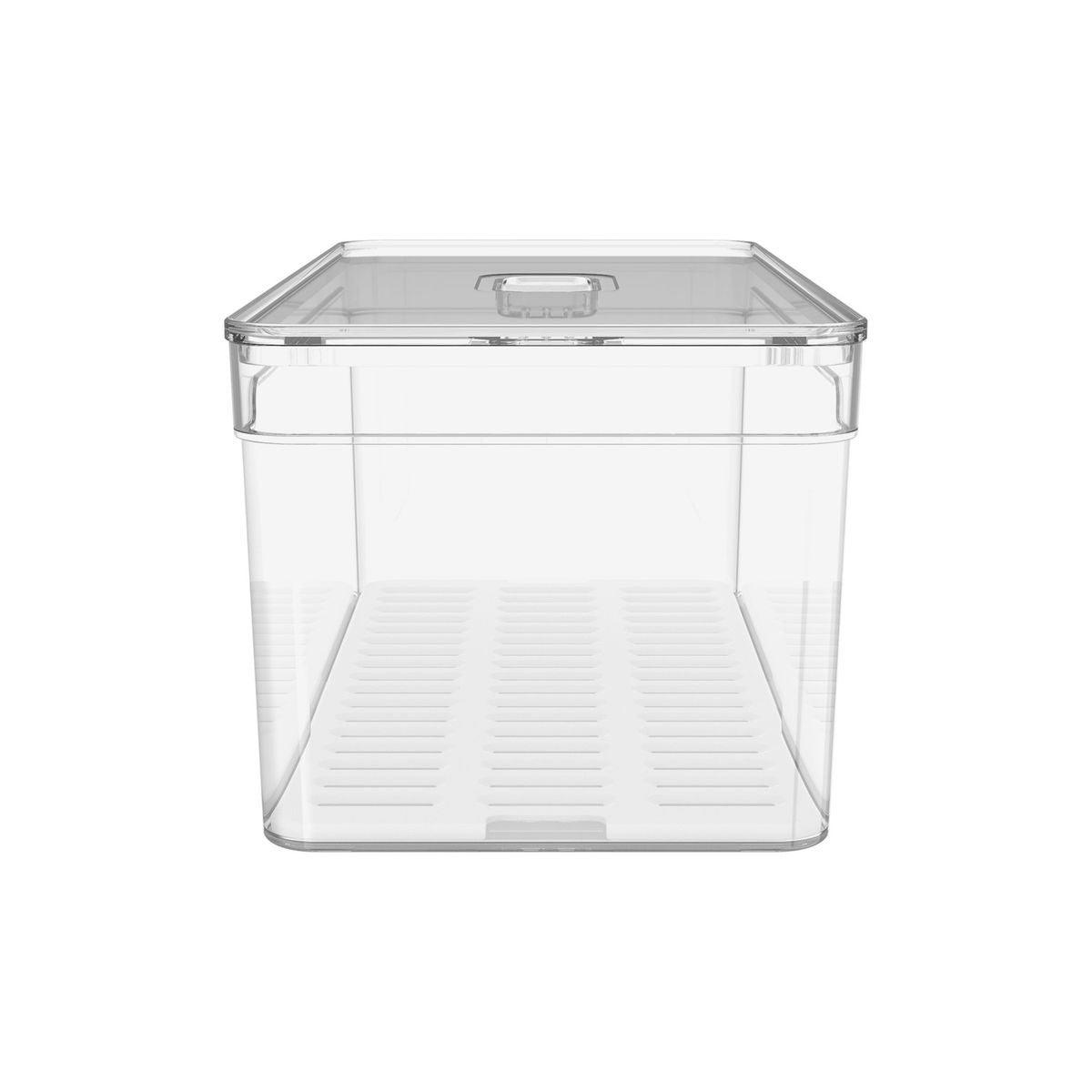 Organizador De Geladeira Com Tampa Clear Fresh 30 x 15 x 13 cm